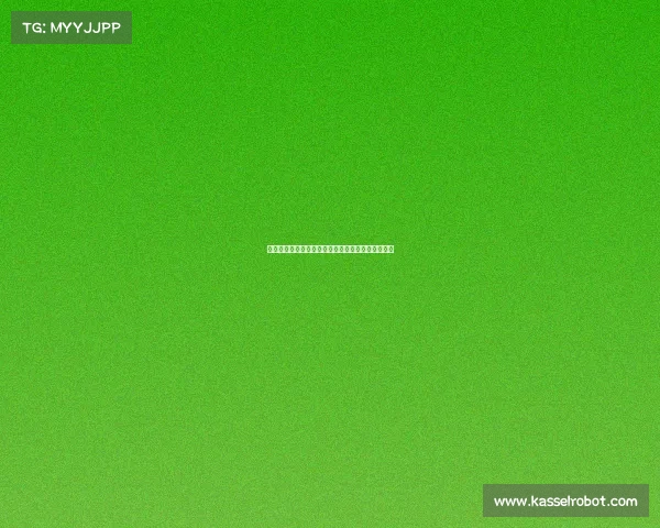 谢什科两度转会占据斯洛文尼亚球员历史前两位榜单